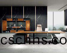 <font color='red'>辦(ban)公(gong)<font color='red'>傢(jia)具</font></font>大(da)班檯的(de)特(te)點(dian)簡(jian)